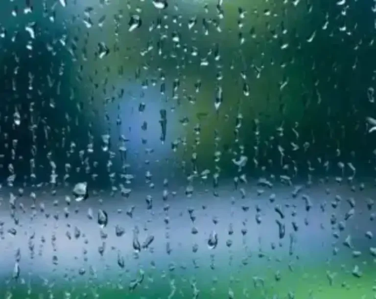 Los techos móviles son estancos con lluvia intensa